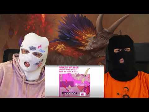 9INEBRO - PINKES WASSER FT. LUGATTI | Reaktion