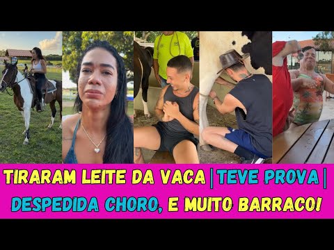 ELES TIRARAM LEITE DA VACA | RANCHO DO MAIA🍼🐄