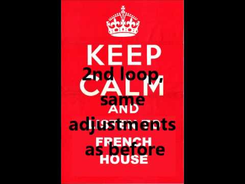 Sampling in house 1 - includes david guetta, avicii justice, duck sauce and more