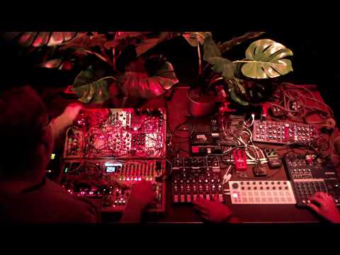 Zensor - Lockdown Therapy (Ambient Session)