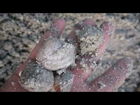 Part 2 Island Adventure pangunguha ng halaan vanilyn de Jesus vloggs w/ @jragbayaniuaechannel7691