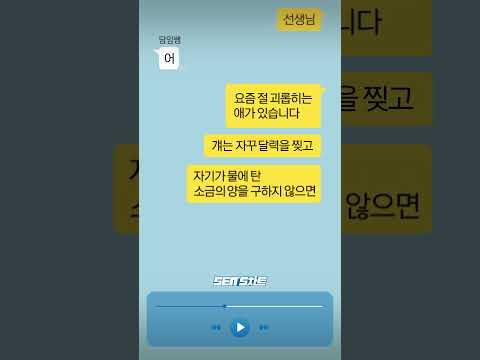 요즘 절 괴롭히는 애가 있습니다