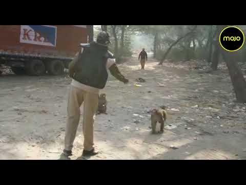 Farmers and Cops Unite To Feed Monkeys at Singhu Border