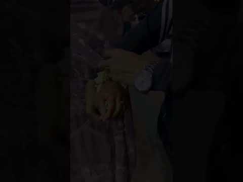 #foryou #Nazmul.25k@Nazmul.25k @YouTube @mytvbanglaGreen Screen Unboxing [8x12 Feet]