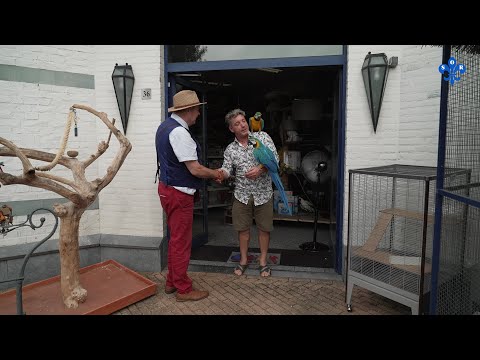 Van de hoed en de rand - Dierenspeciaalzaak de Parasol in Vlodrop