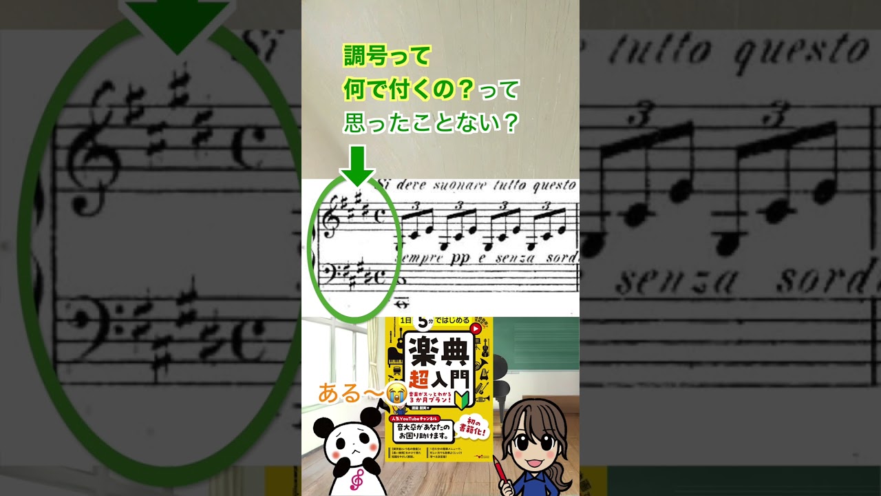 本日発売🌸✨内容の紹介📕楽典 超入門♪