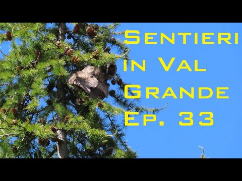 Sentieri in Val Grande ep. 33 - Alpe Corte di sopra