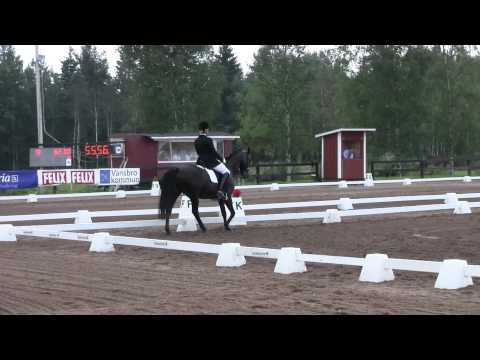 Brantops Validos Son SM i Vansbro 2010.mts