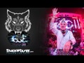 Avicii - Live @ Electric Daisy Carnival (Vegas ...