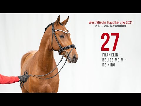 Hauptkörung 2021 Reitpferdehengste Kat-Nr. 27  Franklin - Belissimo M - De Niro