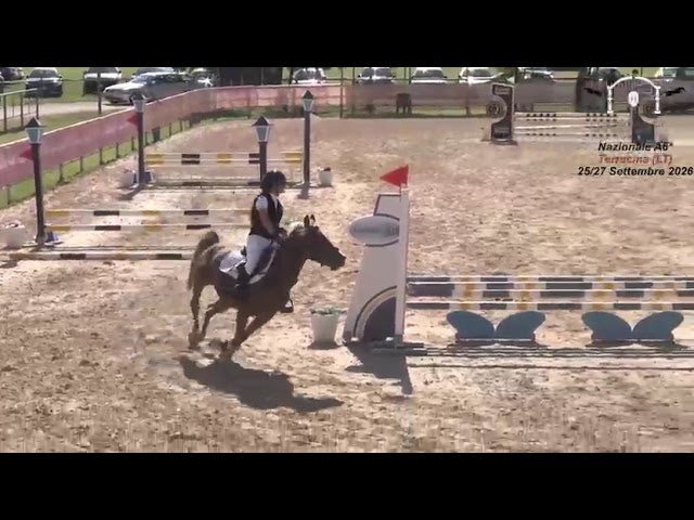 PONY IN VENDITA   LUNA