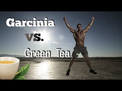 Garcinia Cambogia vs Green Tea for Fat Loss: Thomas DeLauer Video