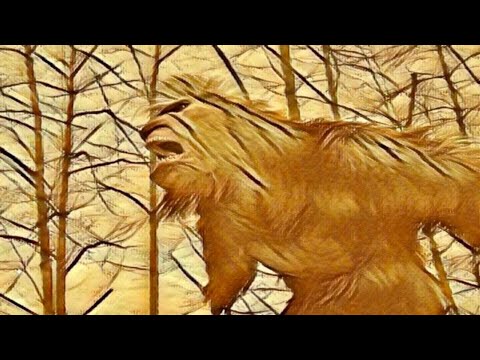 Mountain Bigfoot Sends Clear Message To Hunters
