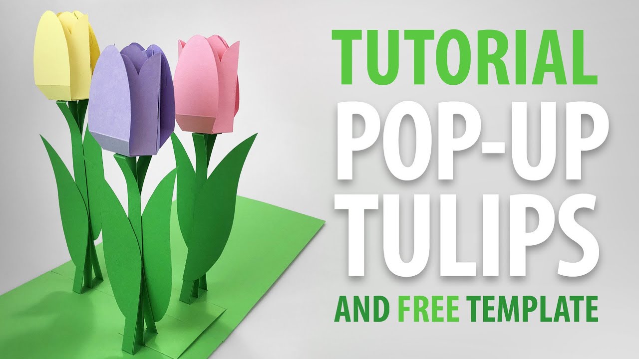 Pop-up Tulips DIY Tutorial and FREE template