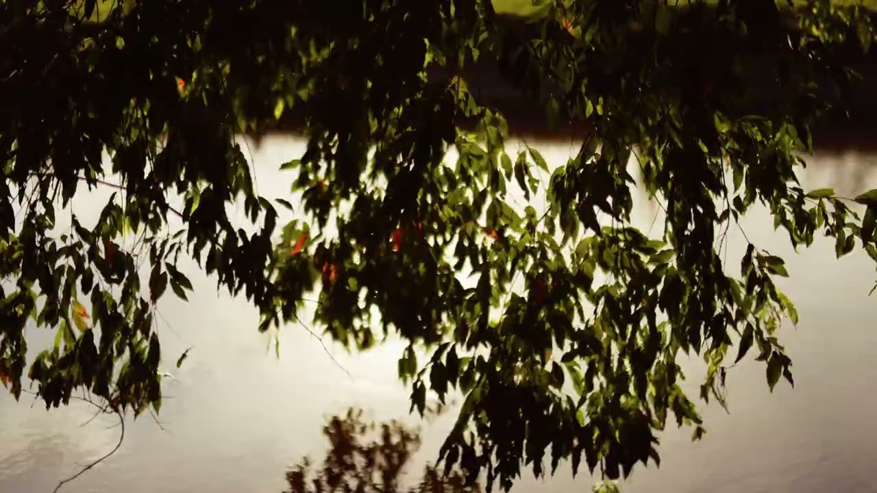 Address available on request Mooloolah Valley QLD 4553