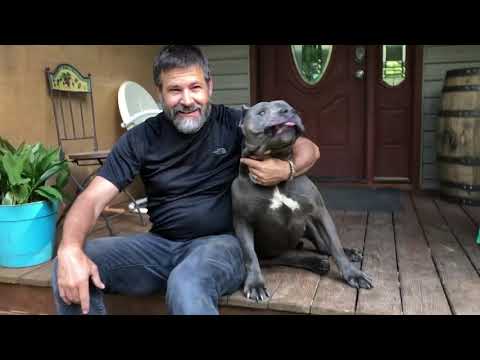 Promotional video thumbnail 1 for Stockyard Parade
