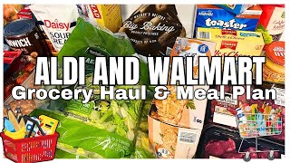 NEW! ALDI AND WALMART GROCERY HAUL AND MEAL PLAN