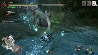モンスターハンターライズ　下位タマミツネ　4:54:37