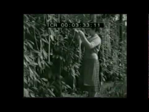 The BEST April Fools Prank in HISTORY