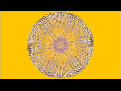 Fractal Flame Radial Kaleidoscope Screensaver -  1 Hrs