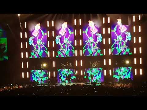 Demi Lovato "Tell me you love me"Live in Köln 06.06.2018