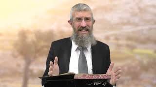 מסכת מנחות דף צו - 8 דקות של לומדות ועמקות בדרך הלימוד הישיבתית [Menachot 96]