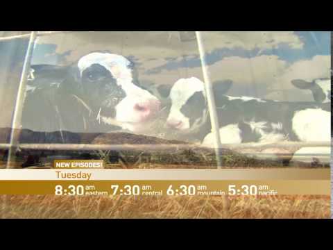 RFD-TV's American Farmer TV - Tuesdays at 8:30 AM ET (15)