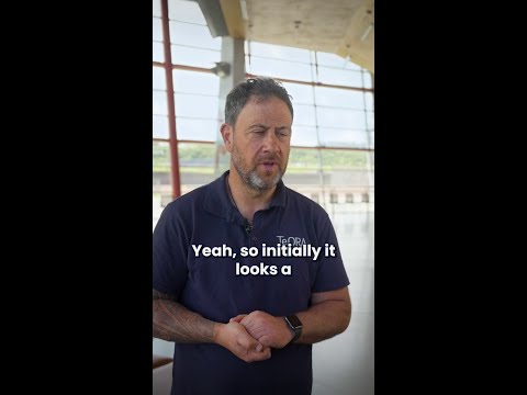 Your questions about measles symptoms answered