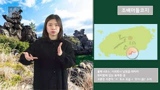 조배머들코지