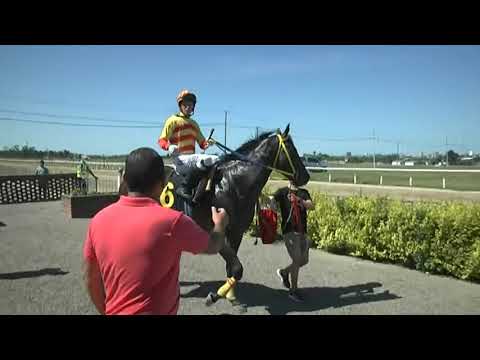 CARRERAS SINT FLORIDA - 211029 c03 1° REY COCO