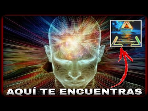 Conoce en que NIVEL de DESPERTAR te ENCUENTRAS||Niveles de DORMIDOS y DESPIERTOS❗❗❗