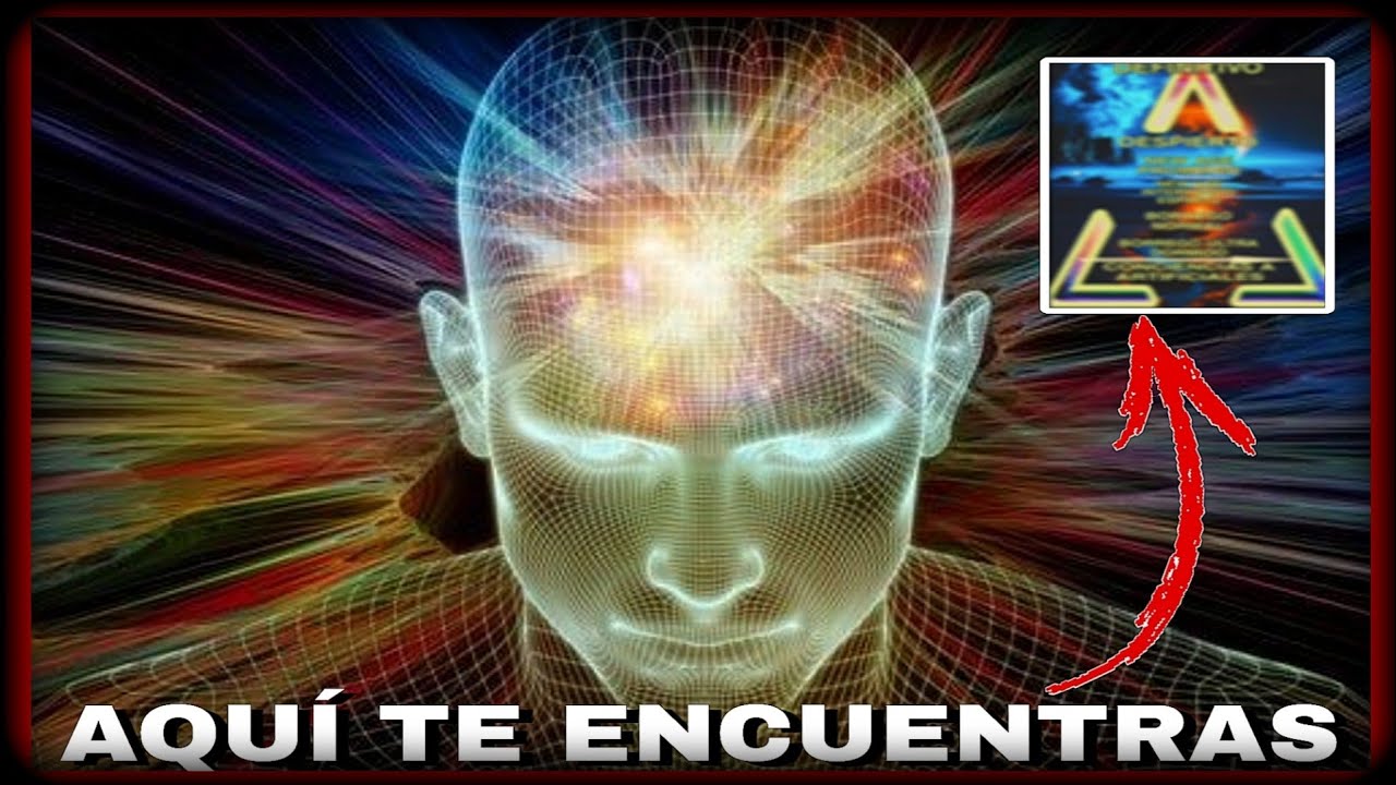 Conoce en que NIVEL de DESPERTAR te ENCUENTRAS||Niveles de DORMIDOS y DESPIERTOS❗❗❗