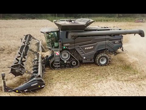 FENDT IDEAL 10T + Fendt 939 Vario bei der Rapsernte 2023