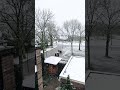 ️First Snowfall Of 2023 ️ Snowfall Firstsnow Snow Netherlands Amsterdam