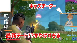[ fortnite ]最新チート？を使うキッズがやばすぎる…もうチーター勘弁してくれ...  フォートナイト