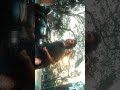Saiyaara Status Video Ahaan Panday Aneet Padda Tanishk Bagchi Faheem A Status Lover 2 0