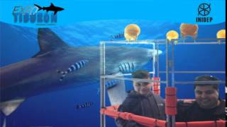 DIA 3 Expo Tiburon66