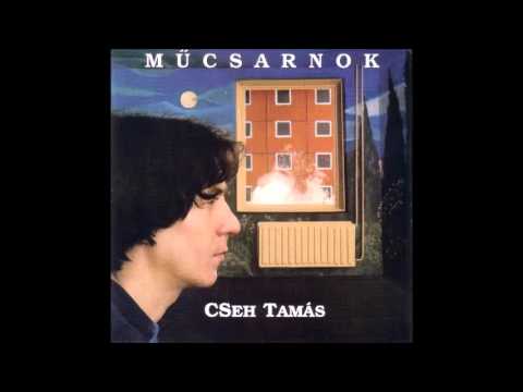 Arthur Rimbaud Elutazik - Cseh Tamás