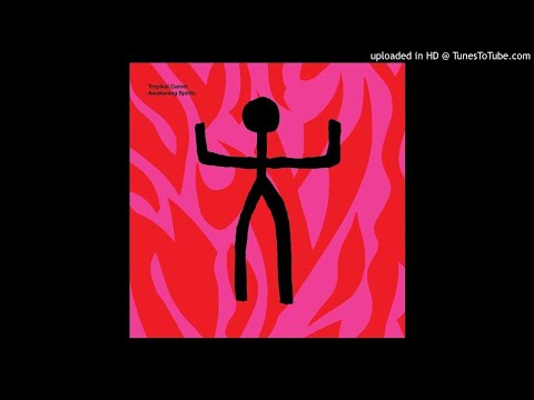 Tropikal Camel - Zachotronic