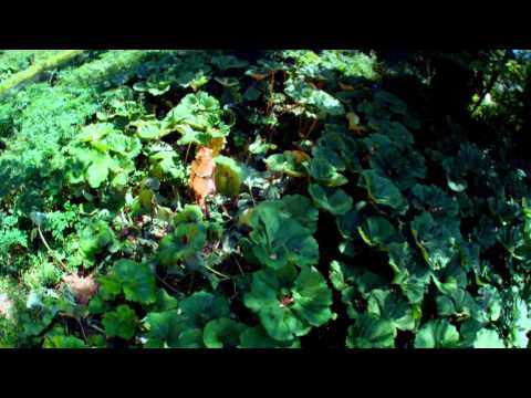 Leonora Jakupi - Iluzion (Official)