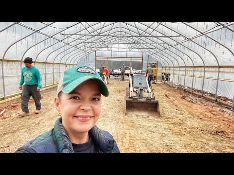 A Crazy, Busy Day At the Nursery | Gardening with Creekside