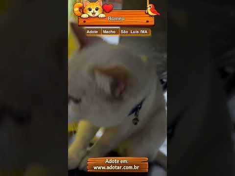 Vídeo de Romeu