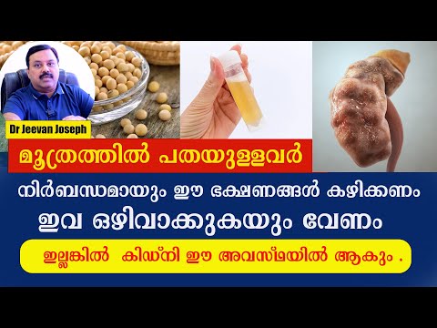 ഈ രീതിയിൽ പത കാണുന്നുണ്ടോ ഈ ഭക്ഷണങ്ങൾ കഴിക്കണം ,ഇവ ഒഴിവാക്കുകയും വേണം ഇല്ലങ്കിൽ കിഡ്‌നി നശിക്കും