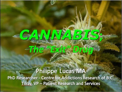 Philippe Lucas - Examining the Cannabis Substitution Effect