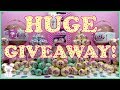 HUGE LOL SURPRISE GIVEAWAY CONTEST!!! PART 1 - Big Sister Ball Opening |SugarBunnyHops