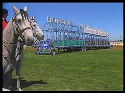 1987 VRC Derby Day Replays