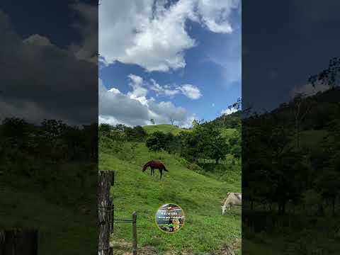 Tierra los suspiros Media libra municipio Córdoba Táchira Venezuela