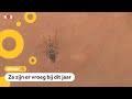 Het muggenseizoen is weer begonnen!