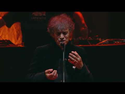 DENEZ - C'hwervoni (Live Festival Interceltique)