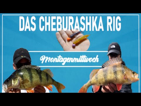 MontagenMittwoch: Das CHEBURASHKA Rig